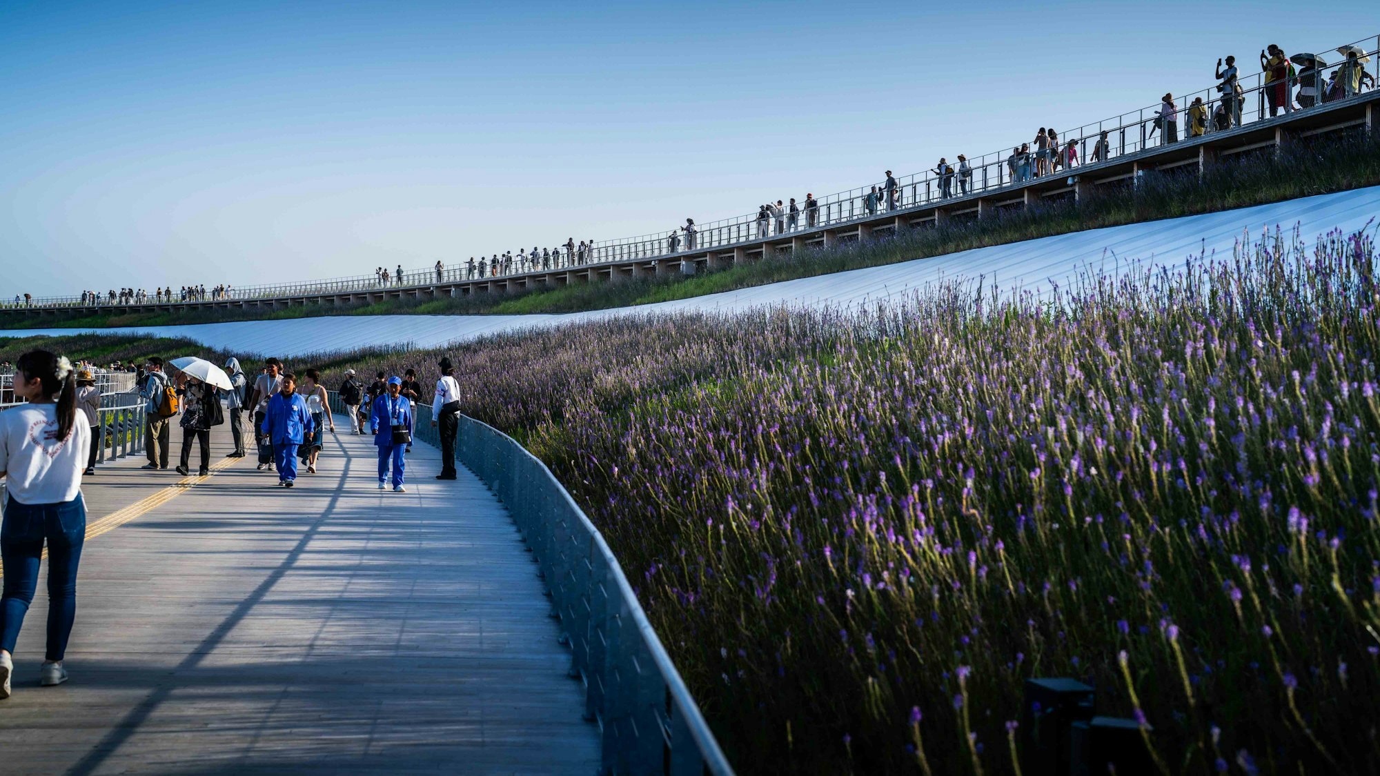 Der Ring ist der Star: Auf einer Länge von zwei Kilometern umfasst die Holzkonstruktion das Expo-Gelände in Osaka.