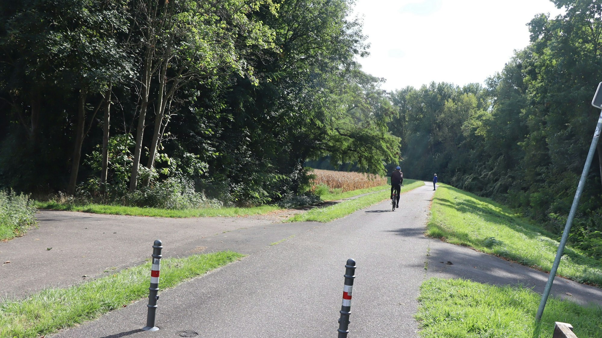 Zu sehen ist ein Weg im Grünen, auf dem ein Radfahrer fährt.