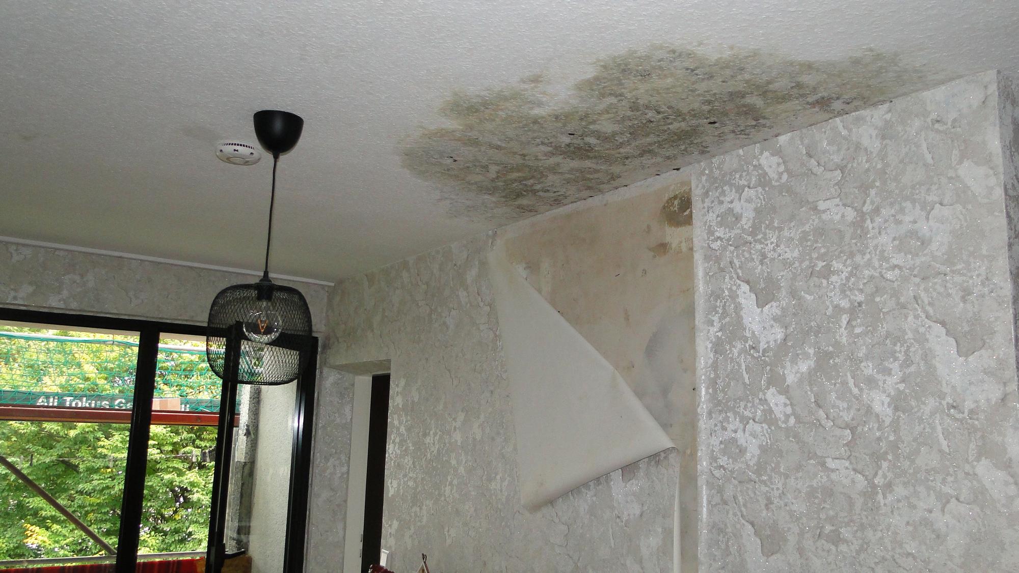 In Razet Khadzhievas Wohnung sorgt die Feuchtigkeit dafür, dass sich die Tapete von der Wand löst und Schimmel ausbreitet.