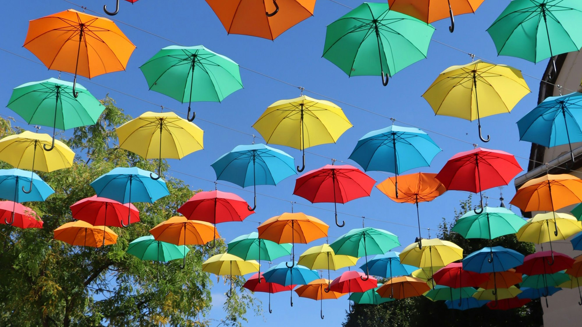 Bunte Regenschirme hängen über einer Straße.