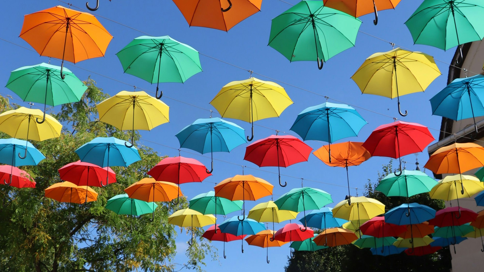 Bunte Regenschirme hängen über einer Straße.