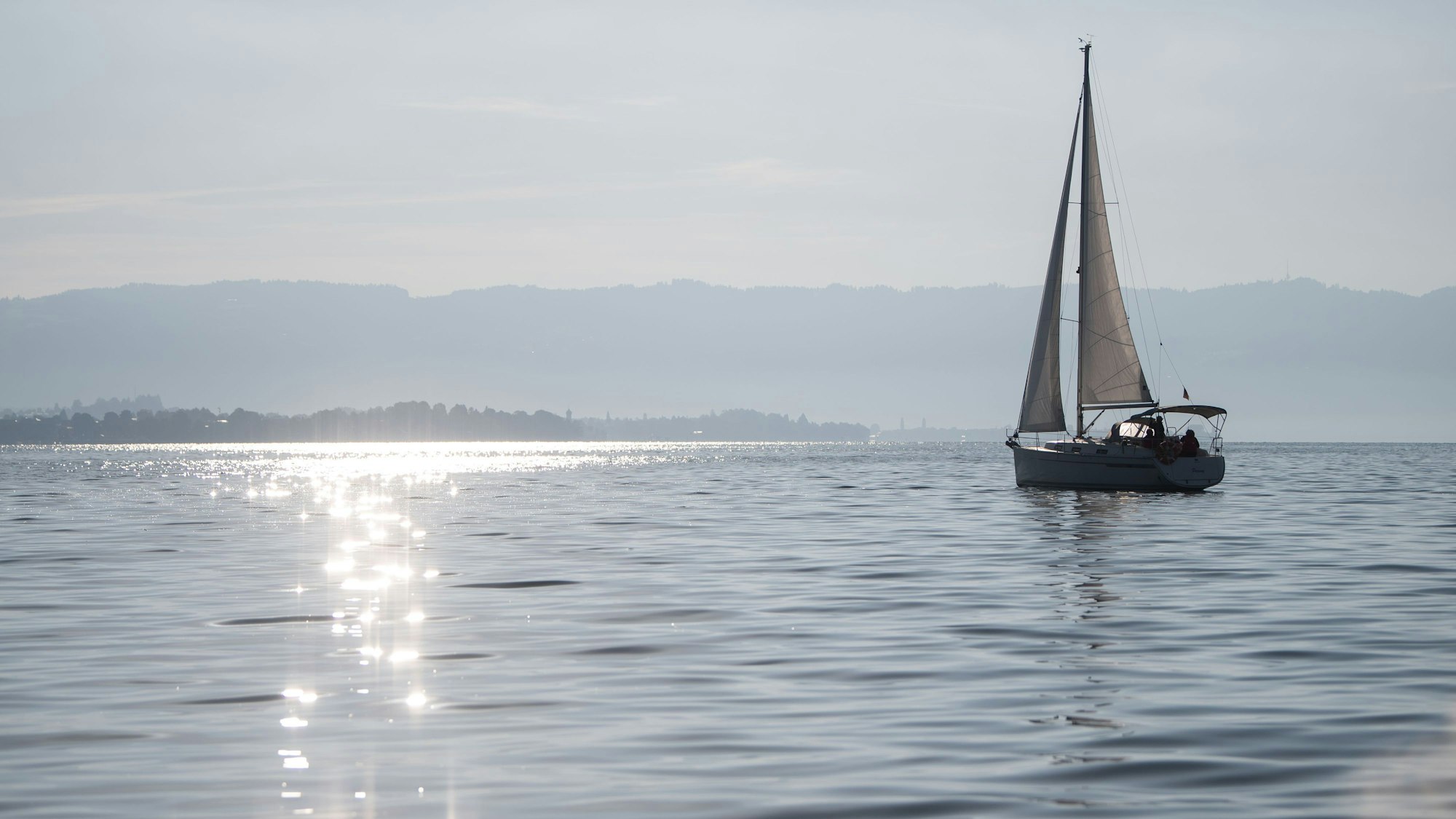 Ein Segelboot fährt auf dem Bodensee, auf dessen Wasser durch die Sonne glitzert.