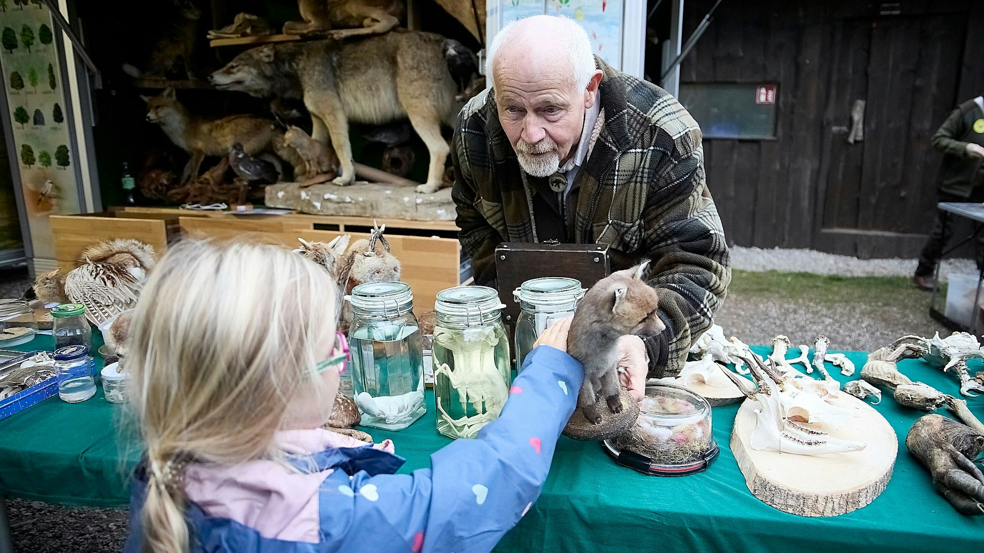 Hermann Carl beugt sich zu einem Mädchen, das einen ausgestopften Fuchs streichelt.