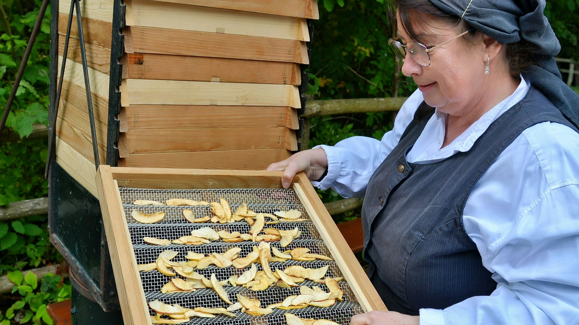 Petra Spürkel trägt traditionelle Kleidung und schaut auf ein Sieb mit gedörrten Apfelscheiben.