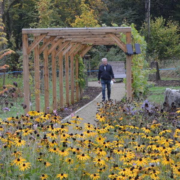 Ein Laubengang aus Holz, im Vordergrund blüht ein Beet mit gelben Blüten.