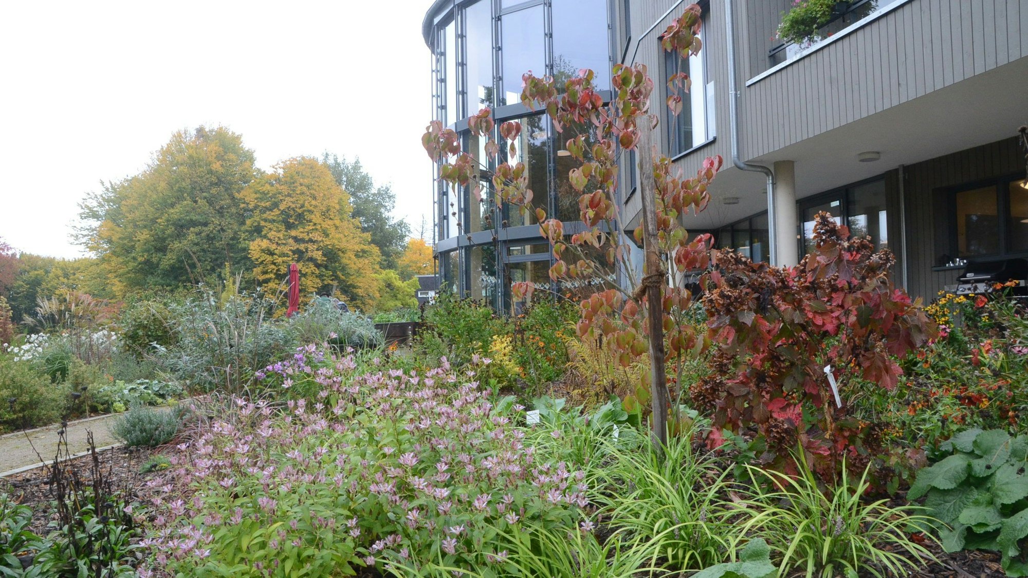 Ein Garten vor einem modernen Gebäude mit gläsernem Rundbau.