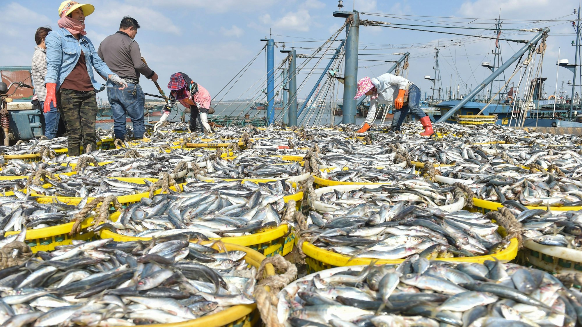 Fischer im Hafen von Xiangzhi in der südostchinesischen Provinz Fujian arbeiten an ihrem frischen Fang.
