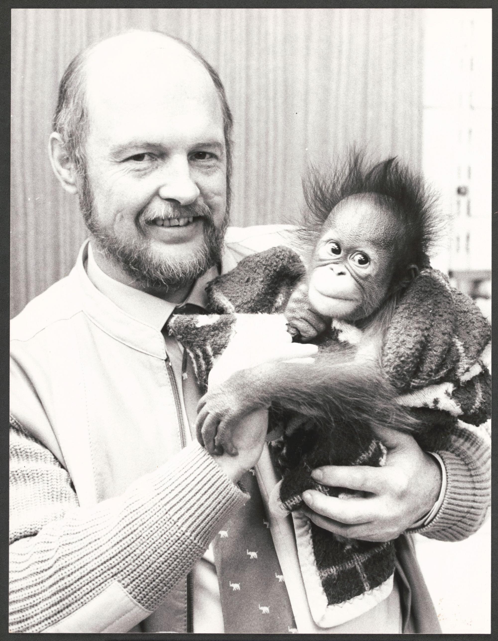 Köln - der Direktor des Kölner Zoos, Gunther Nogge mit einem Oran-Utan-Baby