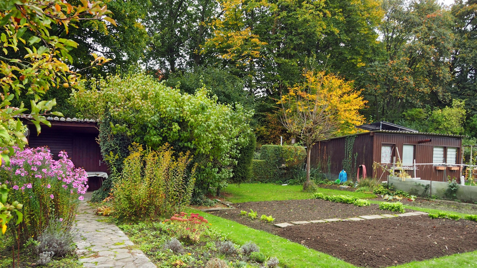 Kleingärten bieten Erholung und sind ökologisch wertvoll. Durch den geplanten Ausbau der A4 im Kölner Süden würden viele Gärten verschwinden – auch in der Anlage Köln-Höningen.