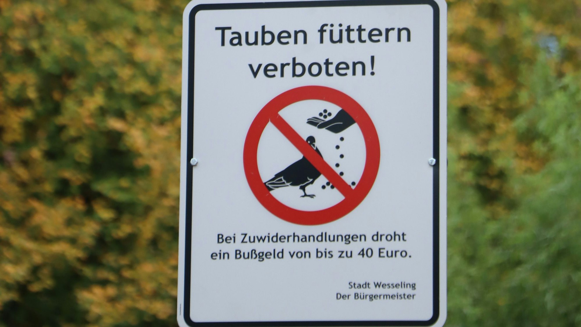 Auf dem Schild ist mit einem roten, durchgestrichenen Kreis dargestellt, wie eine Taube gefüttert wird. Über dem Symbol steht: Tauben füttern verboten. Darunter verweist da Schild auf ein Bußgeld von bis zu 40 Euro.
