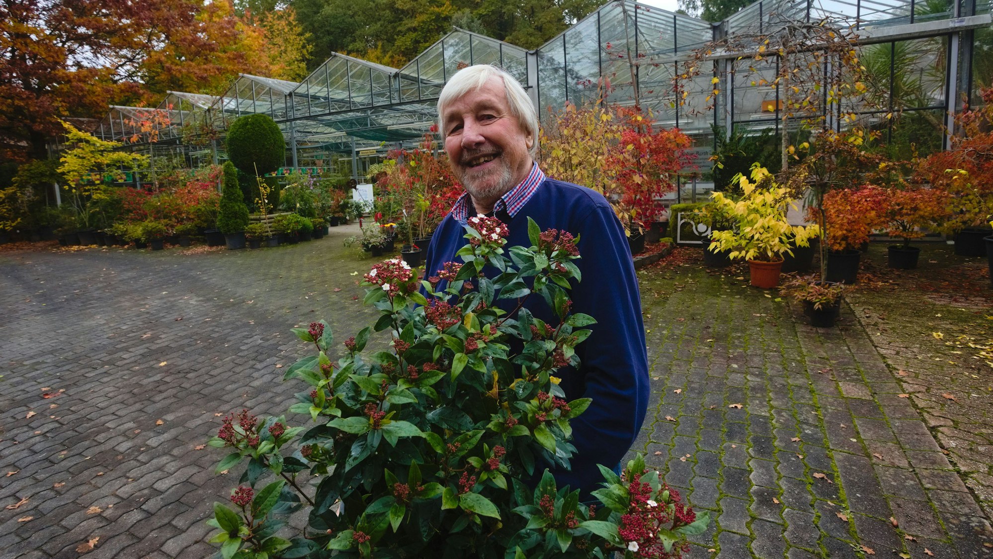Schweren Herzens wollen Werner Barth (heute 77) und seine Ehefrau Wilma (67) ihr Unternehmen in der Waldbröler Ortschaft Hermesdorf ausgeben. Dazu gehört auch ein Garten-Centrum.