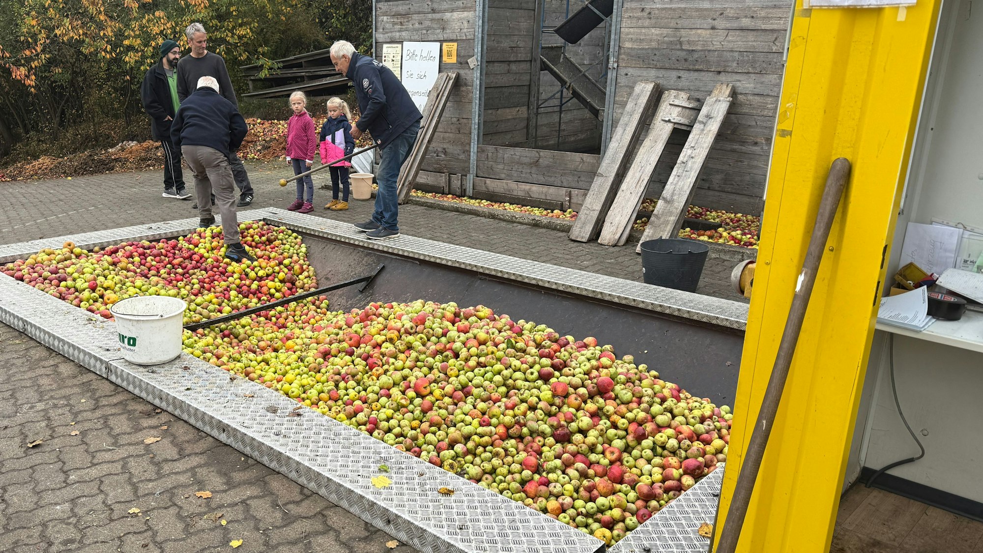 Die Waage im Boden ist an der Fruchtsaftkelterei Weber in Nümbrecht-Lindscheid die erste Station für die gebrachten Äpfel.