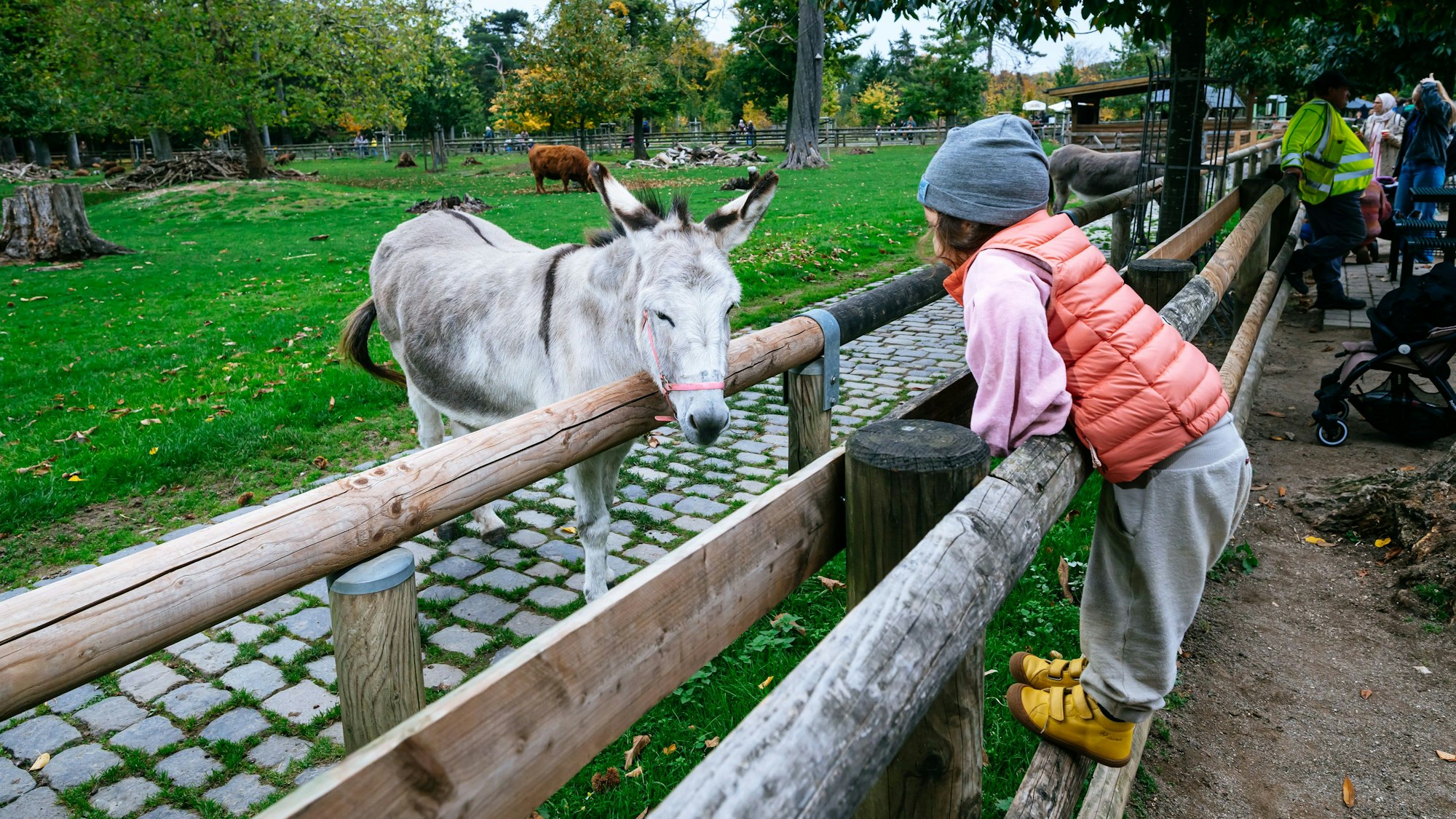 Im Lindenthlaer Tierpark gibt es über 250 Tiere.
