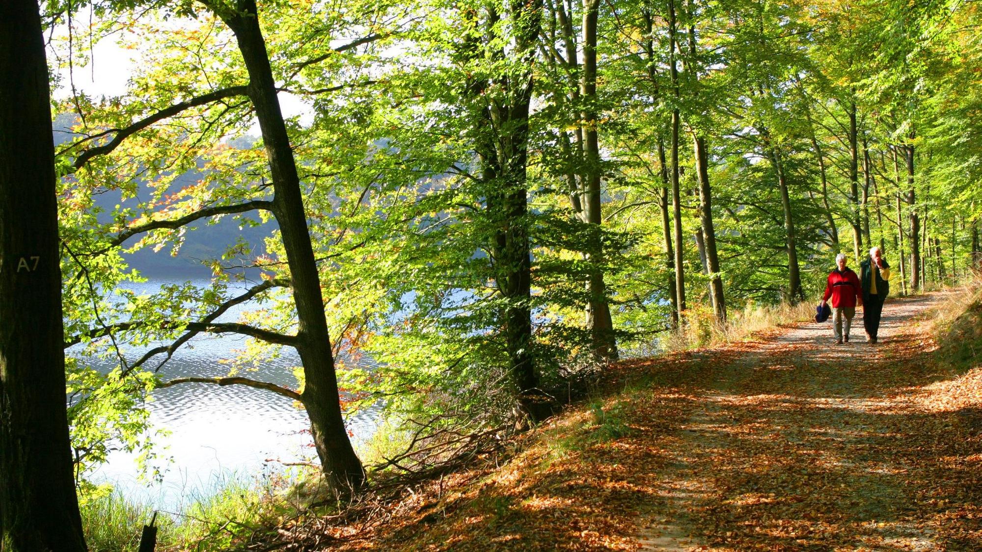 Wandern an der Neye-Talsperre. Foto: Wagner