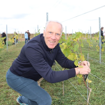 Ein Mann kniet vor einem Rebstock. Er lächelt in die Kamera.