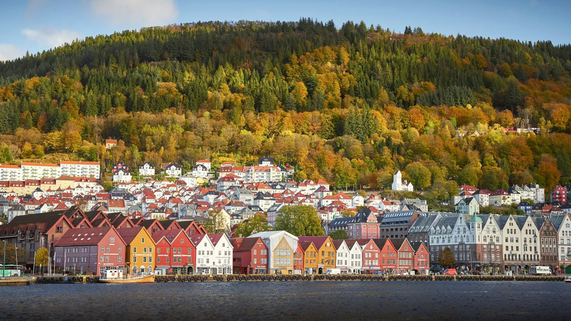 Bryggen mit seinen bunten Holzhäusern: Wahrzeichen und Weltkulturerbe.