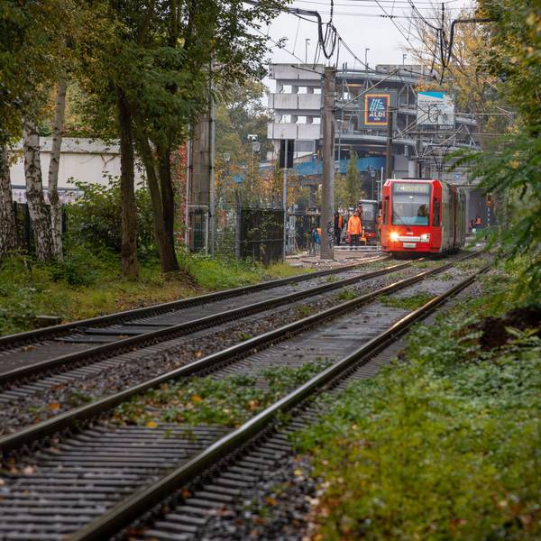 Die Kölner Verkehrs-Betriebe (KVB) bauen für die Linie 7 auf Höhe des Glashüttenparks einen Ersatzbahnsteig in Fahrtrichtung Köln.