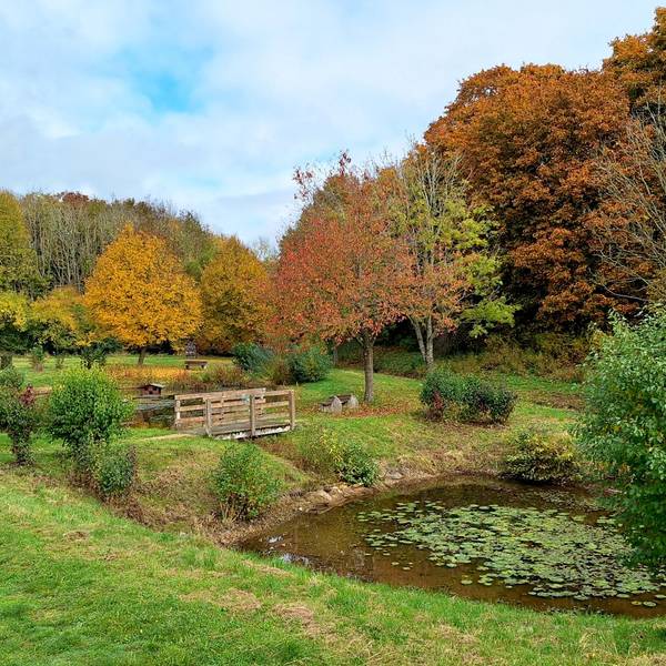 In der Herbstlandschaft sieht man den kleinen Königsee, in dessen Mitte ein Steg verläuft.