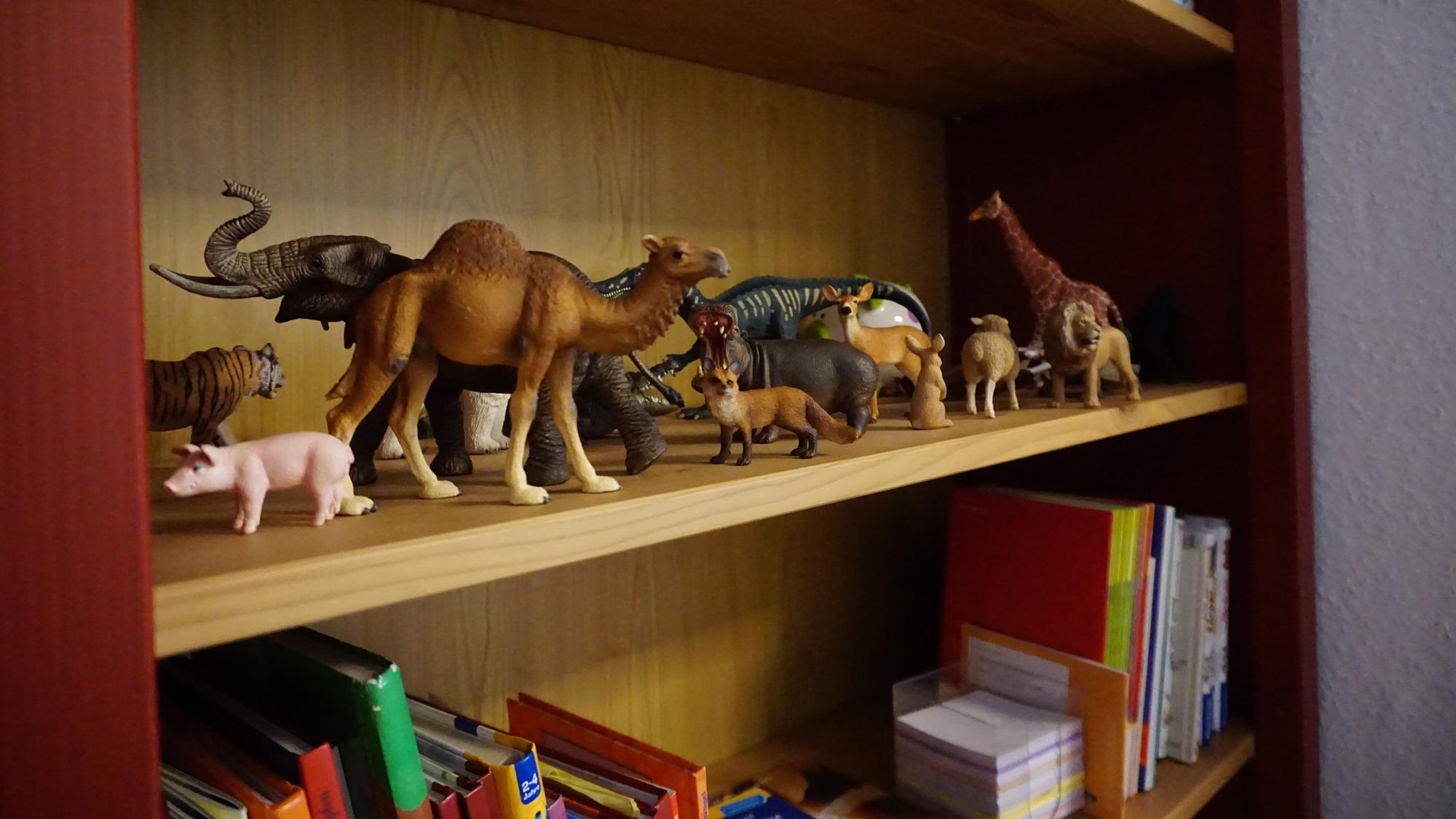 Tierfiguren und Bücher stehen in einem Regal.
