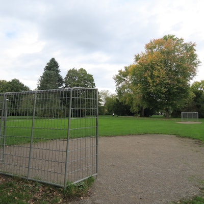 Fürs Basketballspielen eher ungeeignet: Der „Bolzplatz“ im Rochusplatz ist im Grunde eine normale Grünanlagen-Wiese mit zwei Toren drauf.