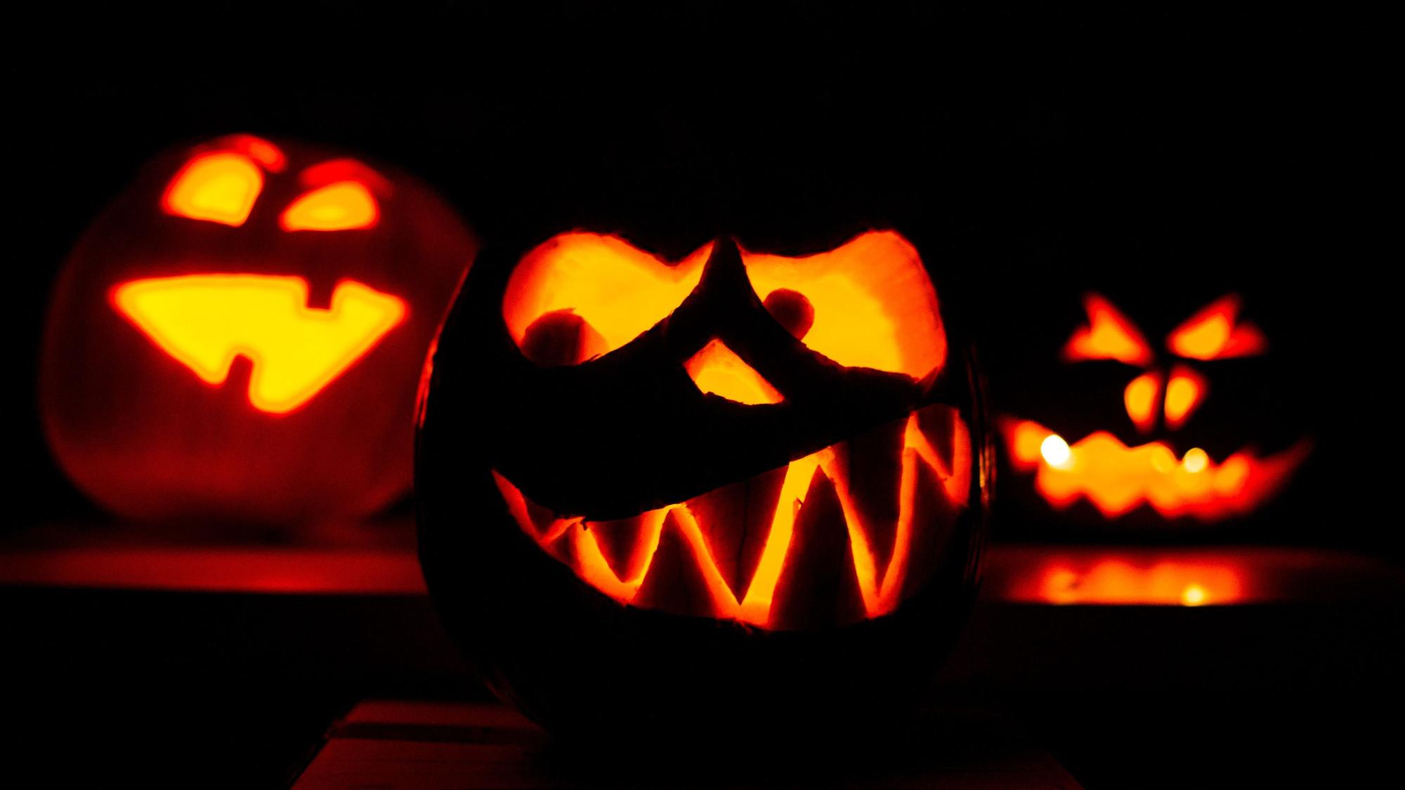 Drei geschnitzte Halloweenkürbisse werden mit Kerzen von innen beleuchtet.