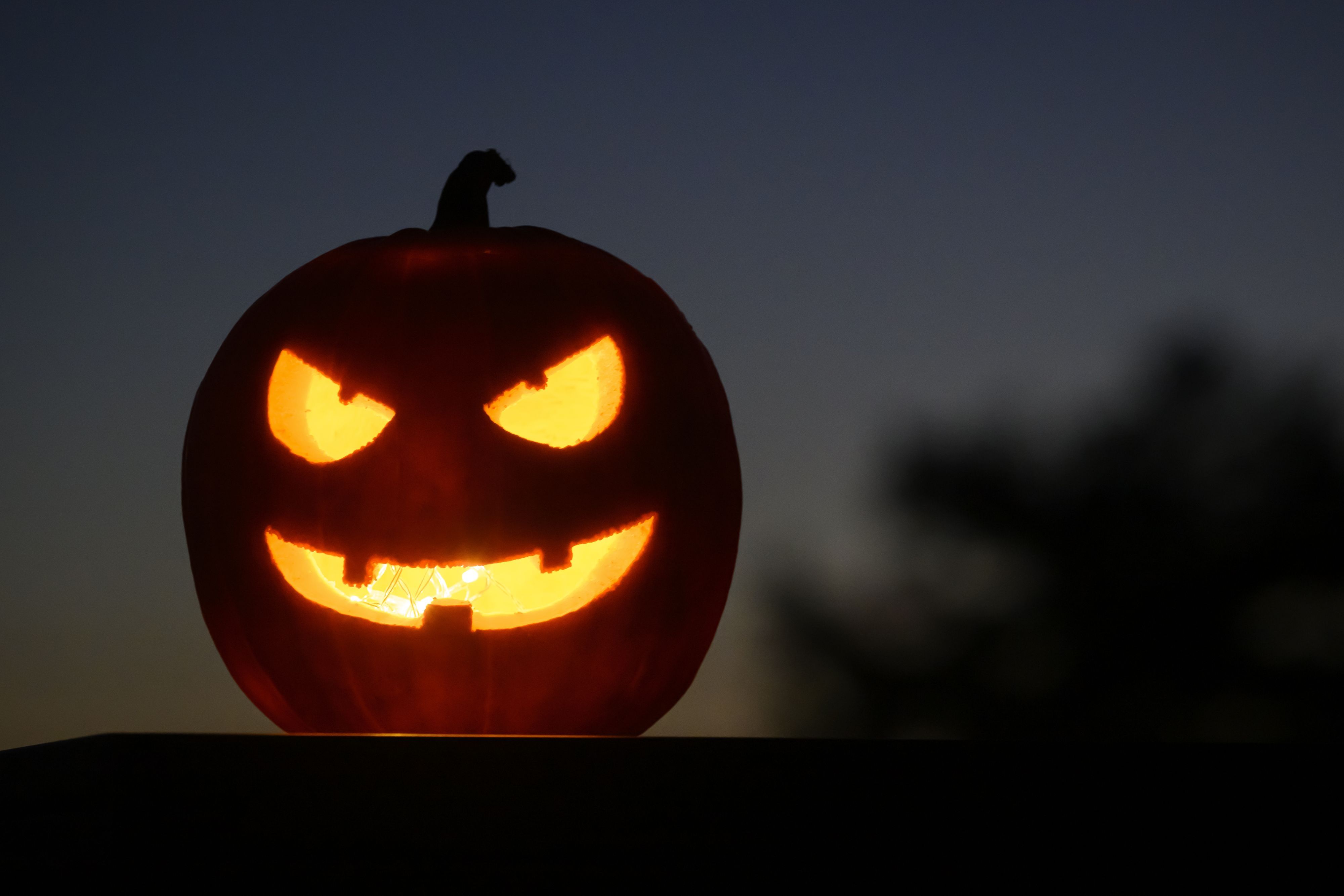 Ein Halloween-Kürbis und Kerzen in einem Garten. (Symbolbild)