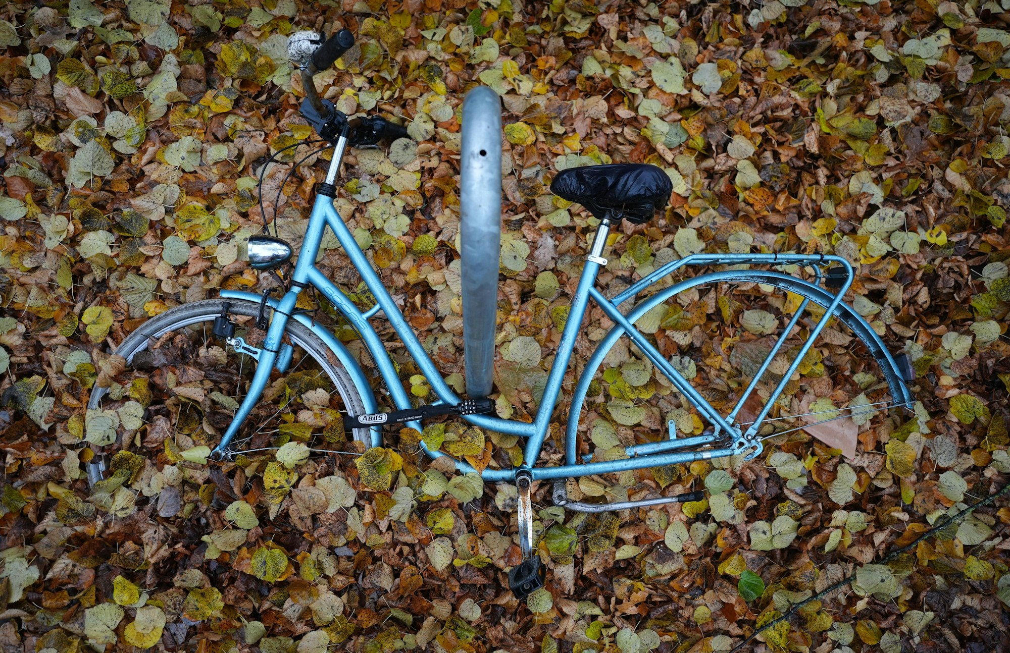 Mit Laub bedeckt liegt ein verlassenes und defektes Fahrrad an einer Straße