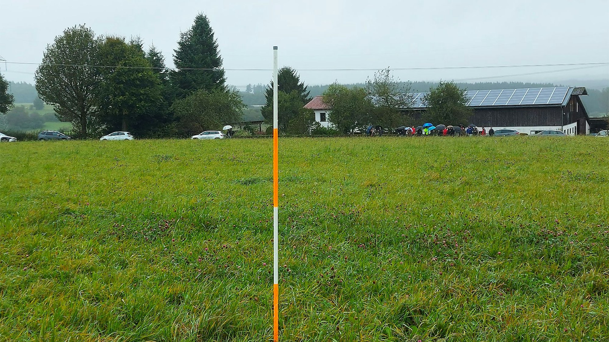 In einer Wiese steckt ein rot-weißer Markierungsstab. Auf dem Areal bei Dahlem-Schmidtheim soll eine Photovoltaik-Anlage gebaut werden.