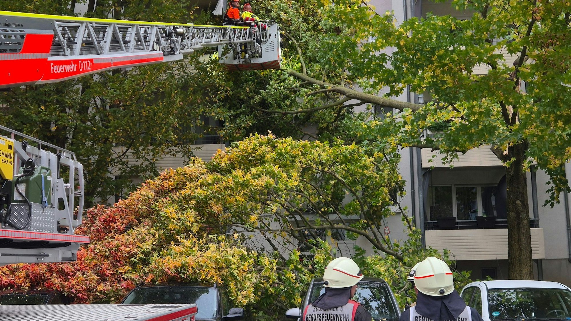 Oft musste die Feuerwehr wegen umgestürzte Bäume ausrücken.