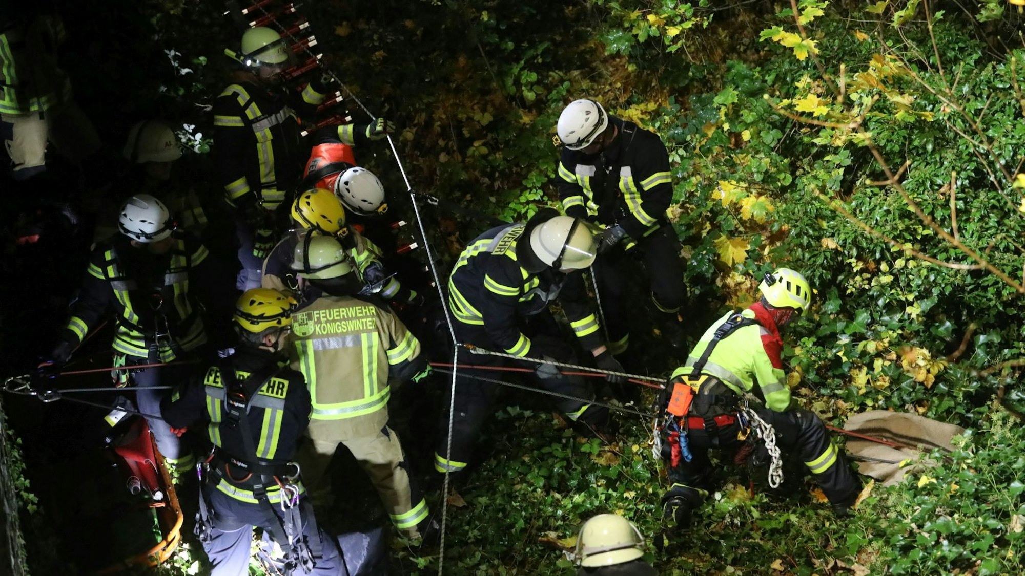 Mehrere Feuerwehrleute an einem Hang im Wald.