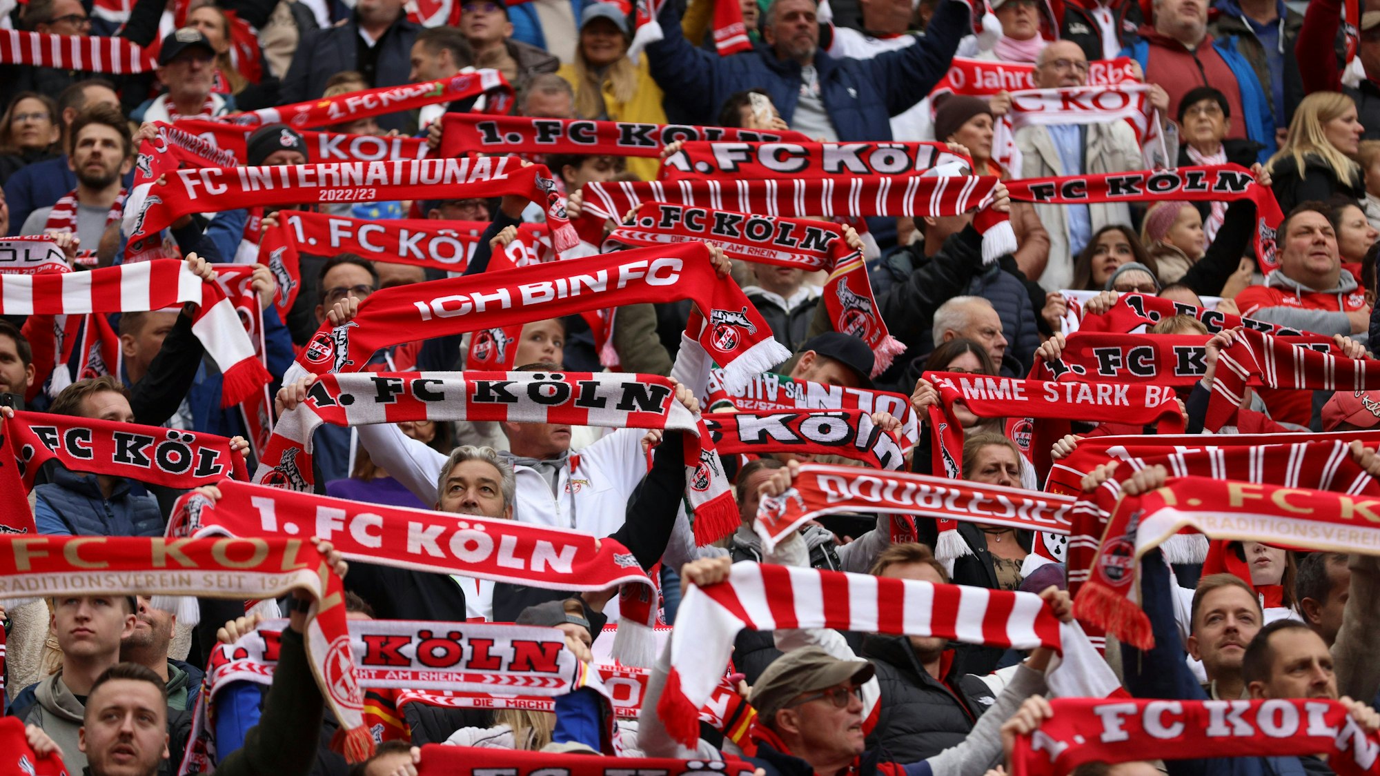 Fans des 1. FC Köln halten Fanschals hoch