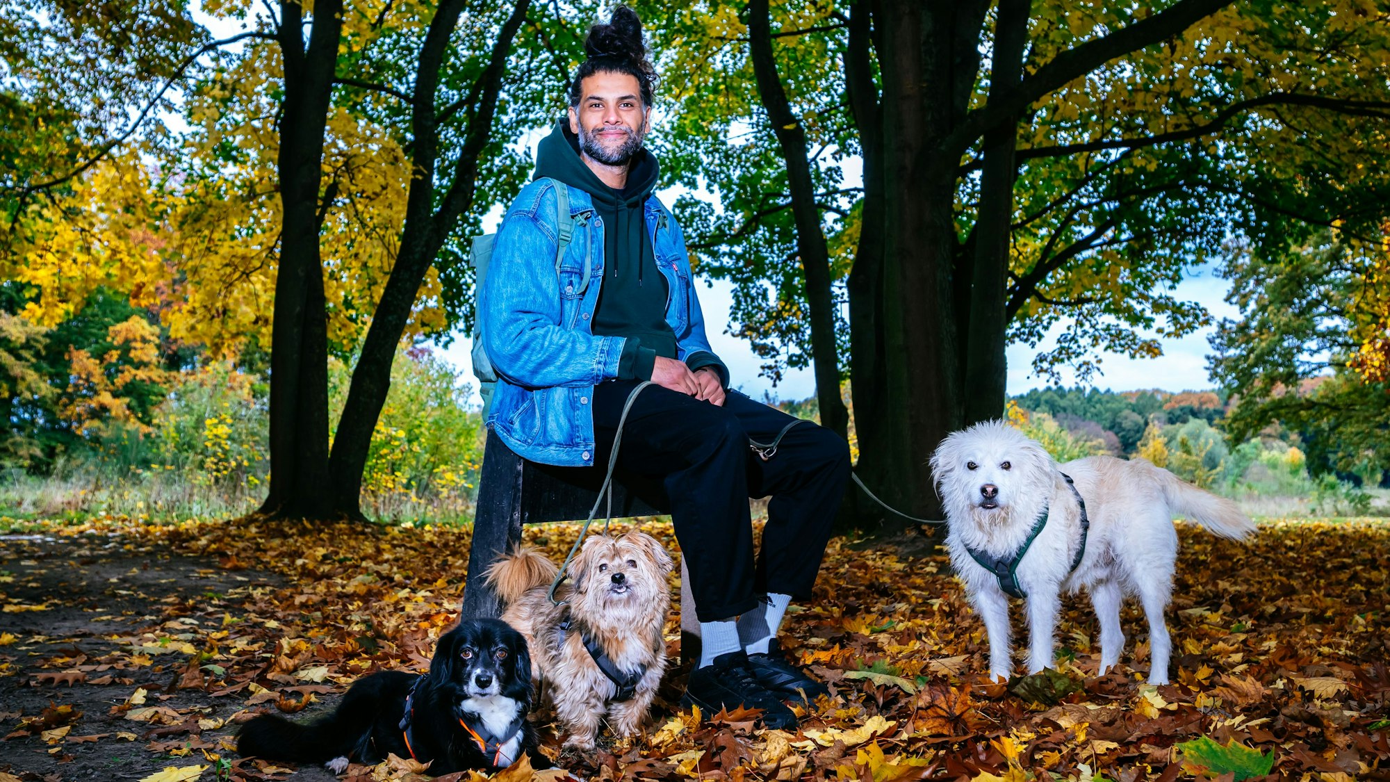 Hundeverhaltenstherapeut Masih Samin mit drei Hunden an der Leine.