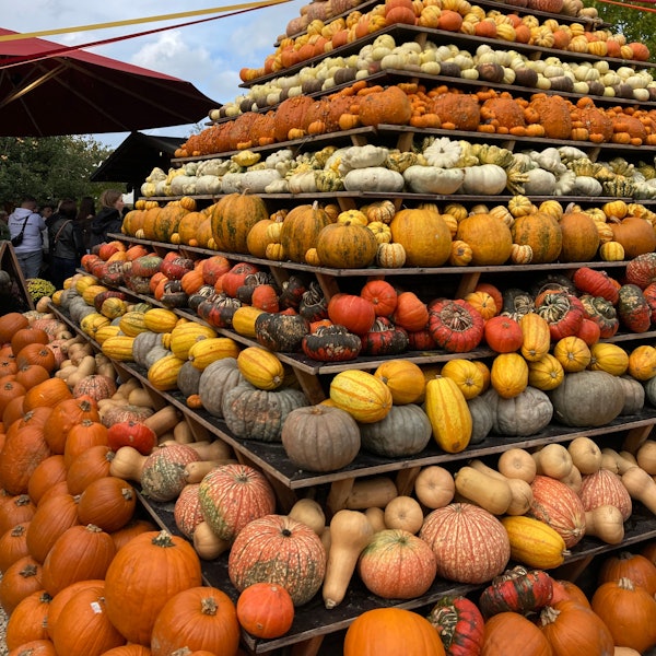 Die Kürbispyramide auf dem Gertrudenhof in Hürth
