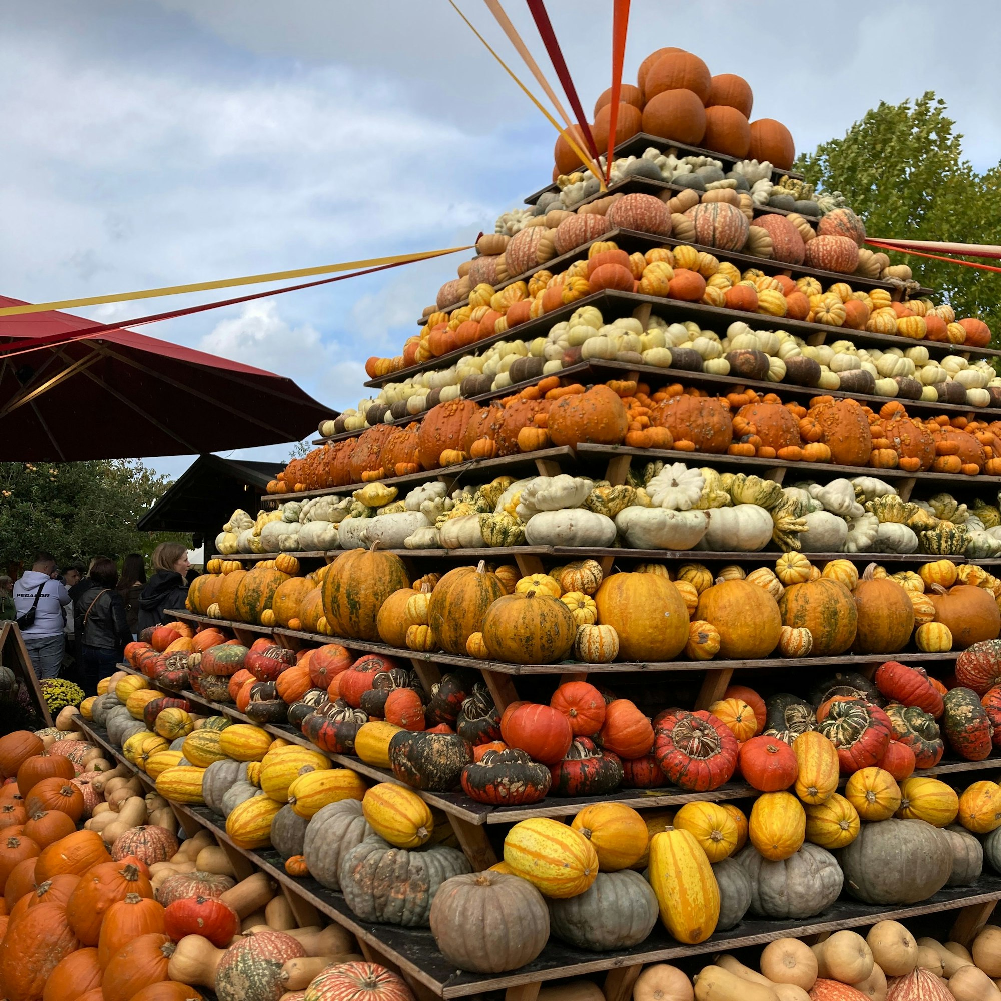 Auf dem Gertrudenhof in Hürth dreht sich alles um Kürbisse.