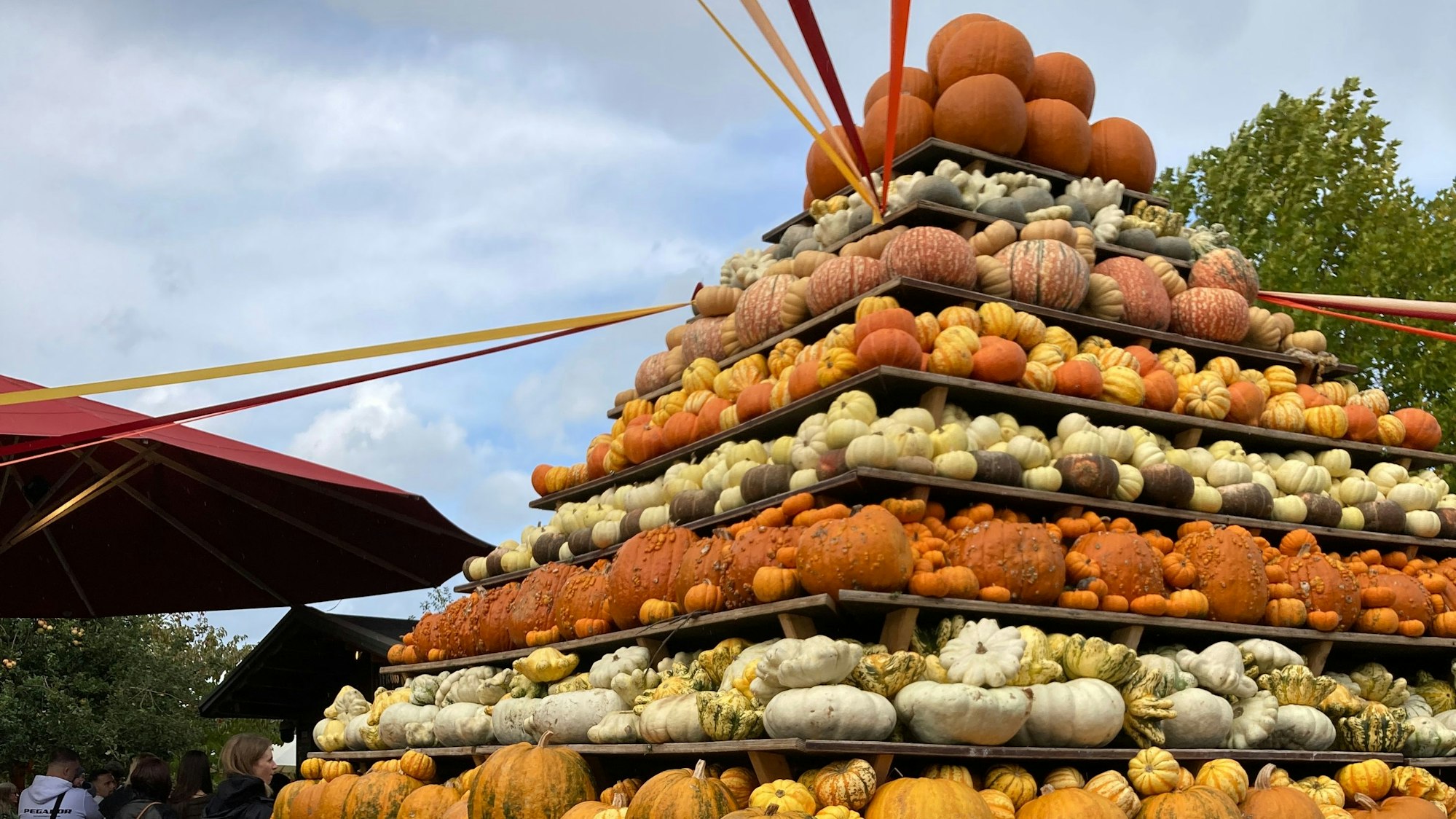 Die Kürbispyramide auf dem Gertrudenhof in Hürth