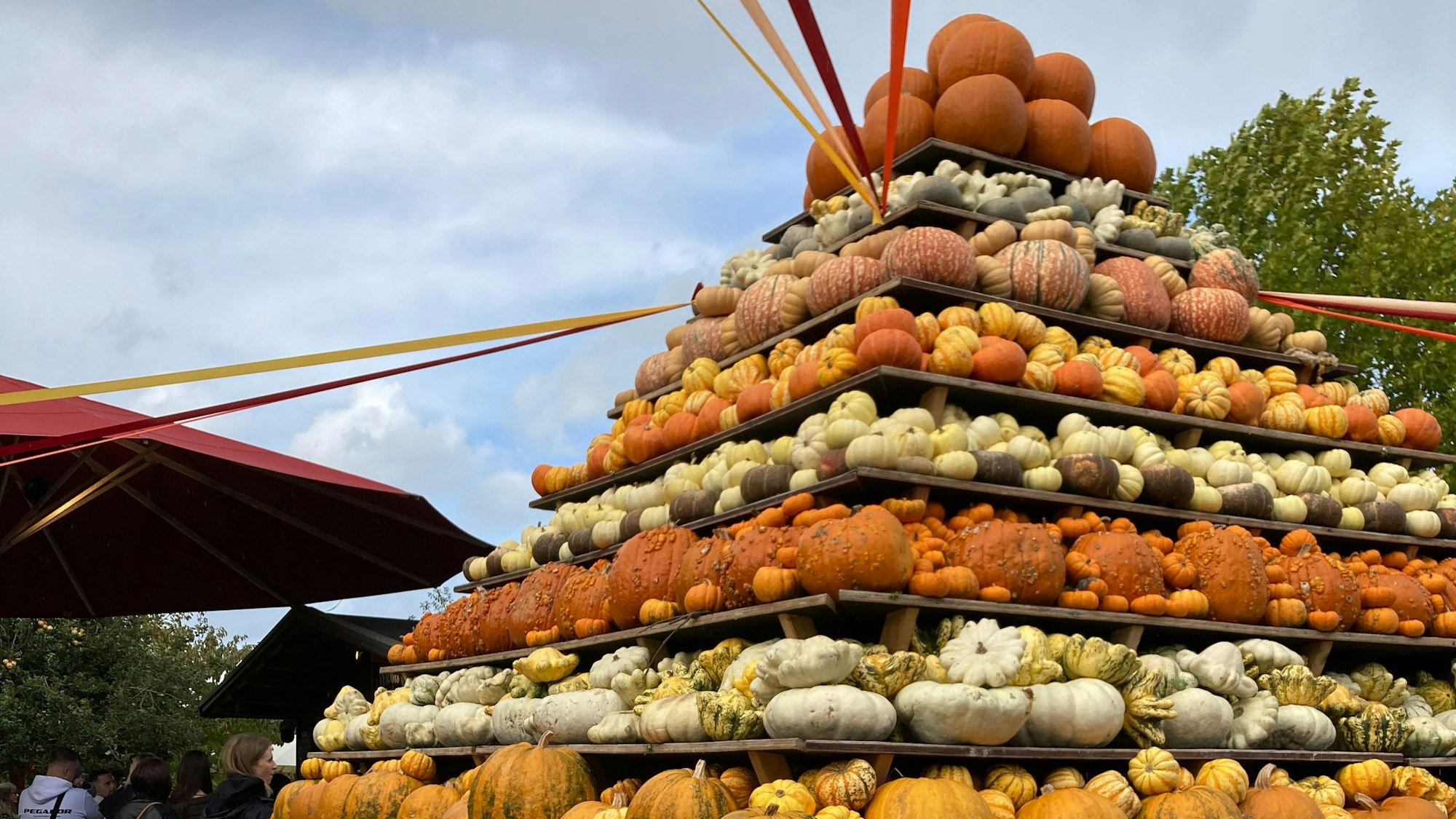 Die Kürbispyramide auf dem Gertrudenhof in Hürth