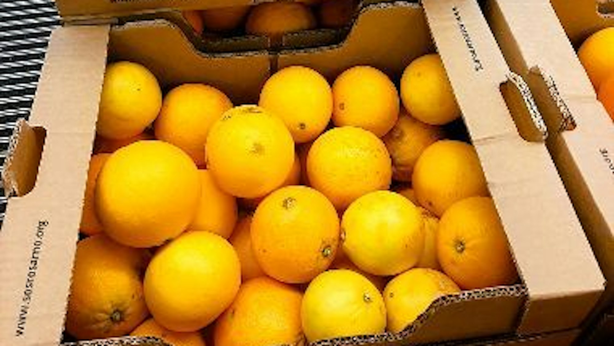 Die fair gehandelten Orangen aus Rosarno in Kalabrien.