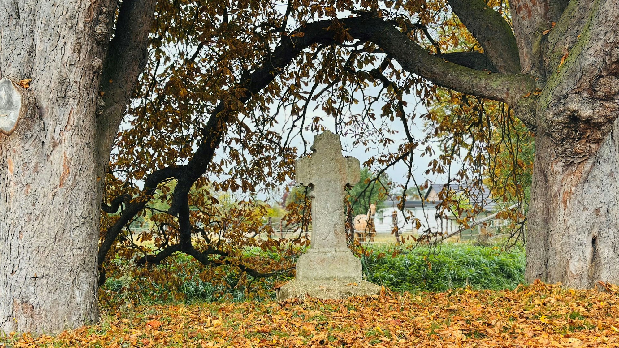 Zu sehen ist ein Steinkreuz unter zwei Bäumen.