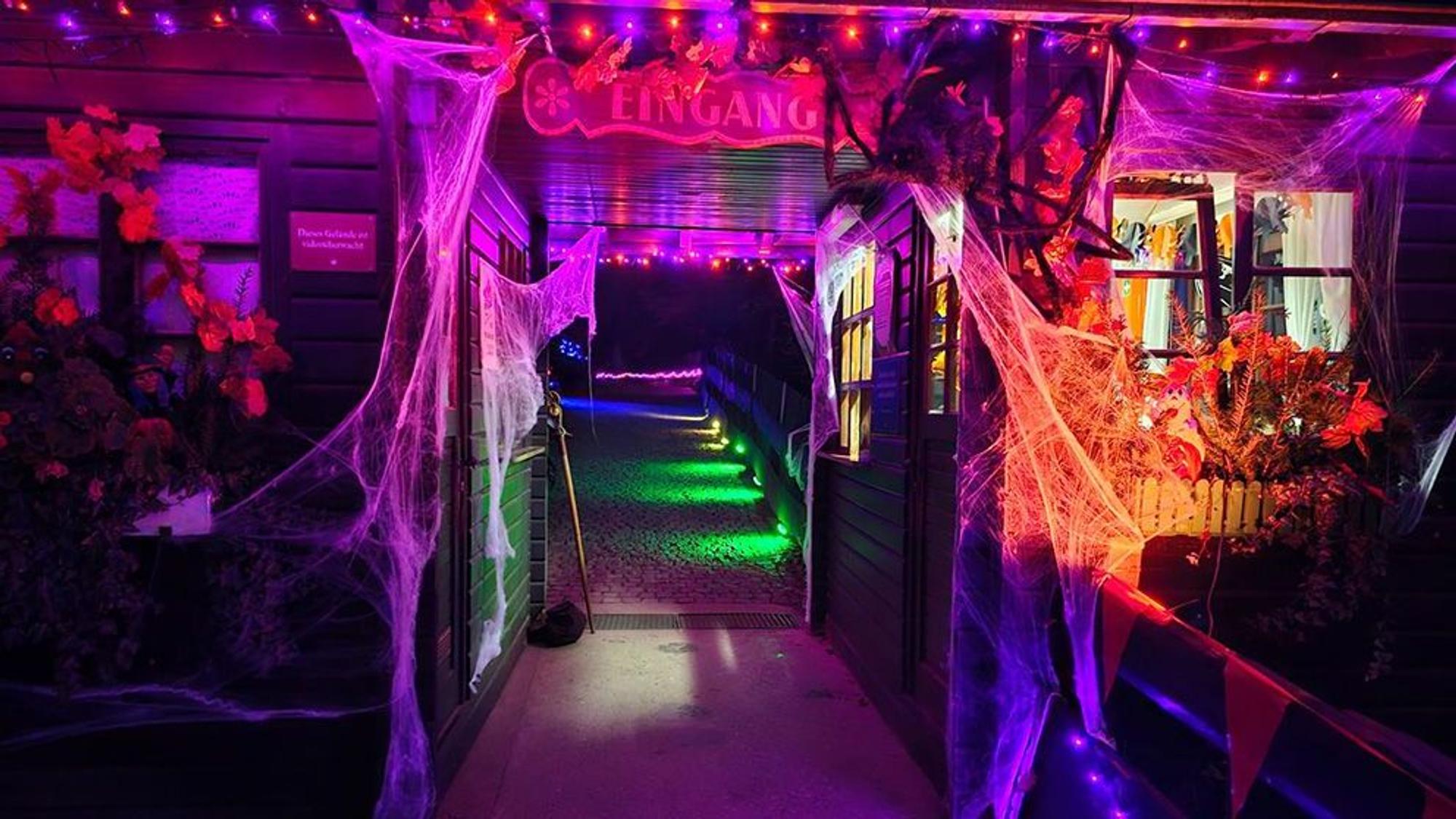 Märchenwald in Altenberg ist stimmungsvoll beleuchtet