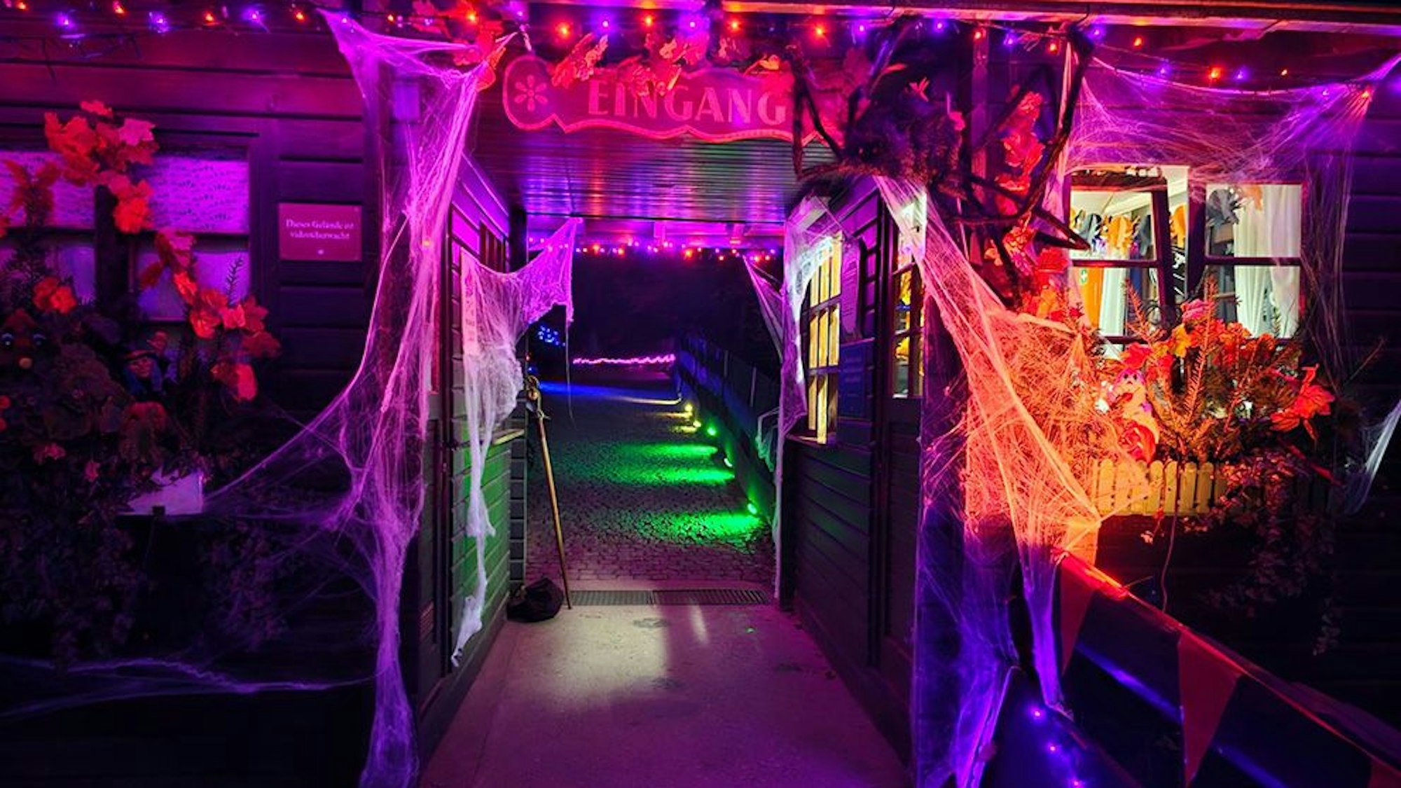 Märchenwald in Altenberg ist stimmungsvoll beleuchtet