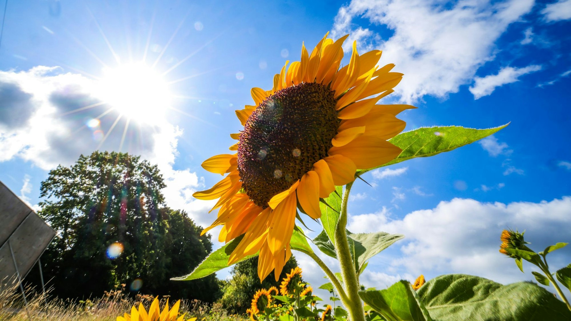 Laut «Glücksatlas» rangiert NRW bei der Lebenszufriedenheit im Vergleich der Bundesländer auf dem vierten Platz. (Symbolbild)