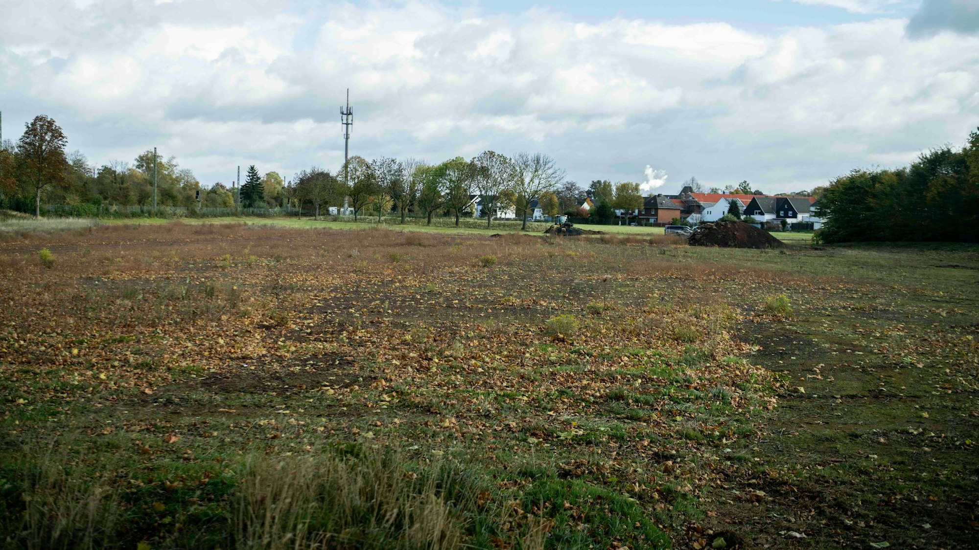 Das Bild zeigt den Aschenplatz im Auel. Die Natur hat den Bereich nach der Flut zurückerobert.