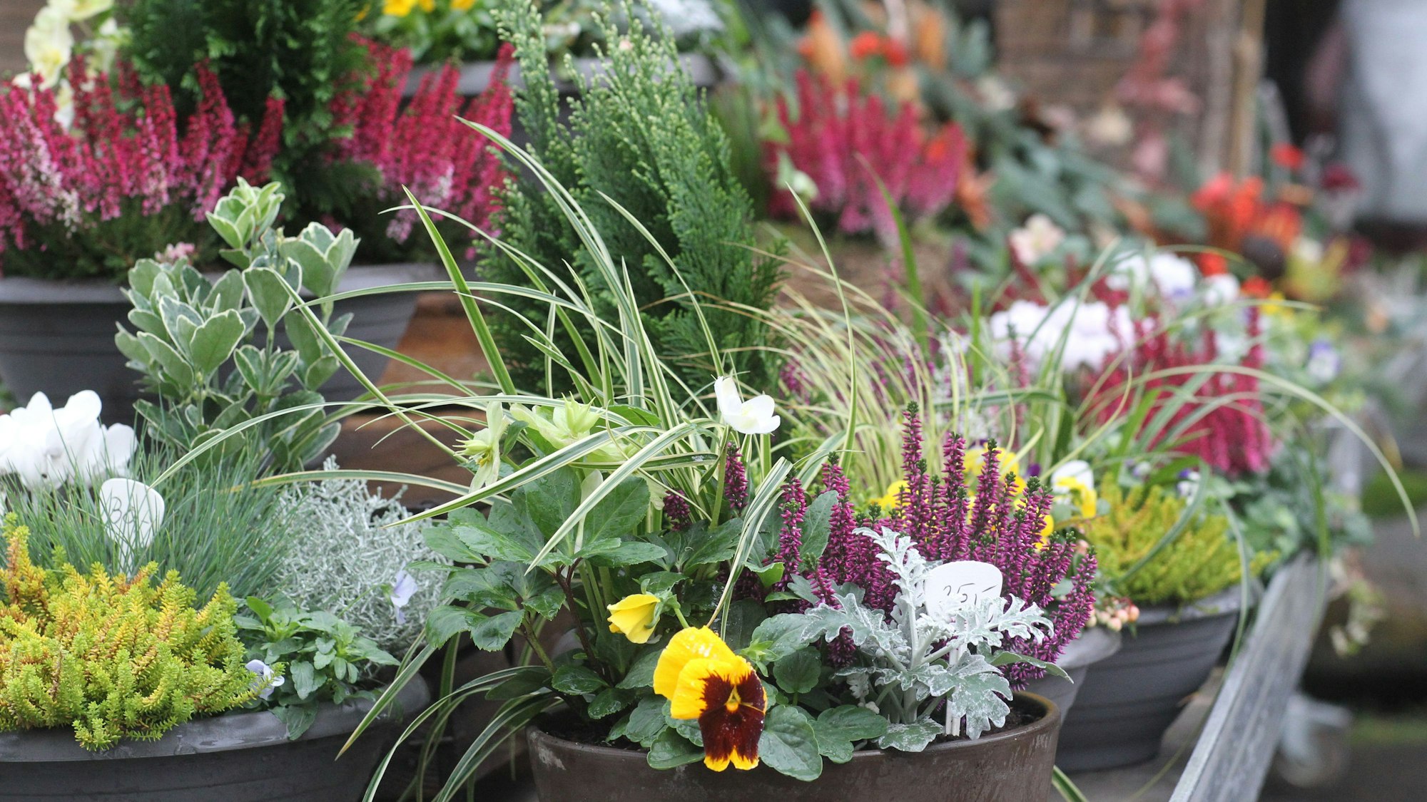 Kleinere Arrangements liegen eher im Trend.