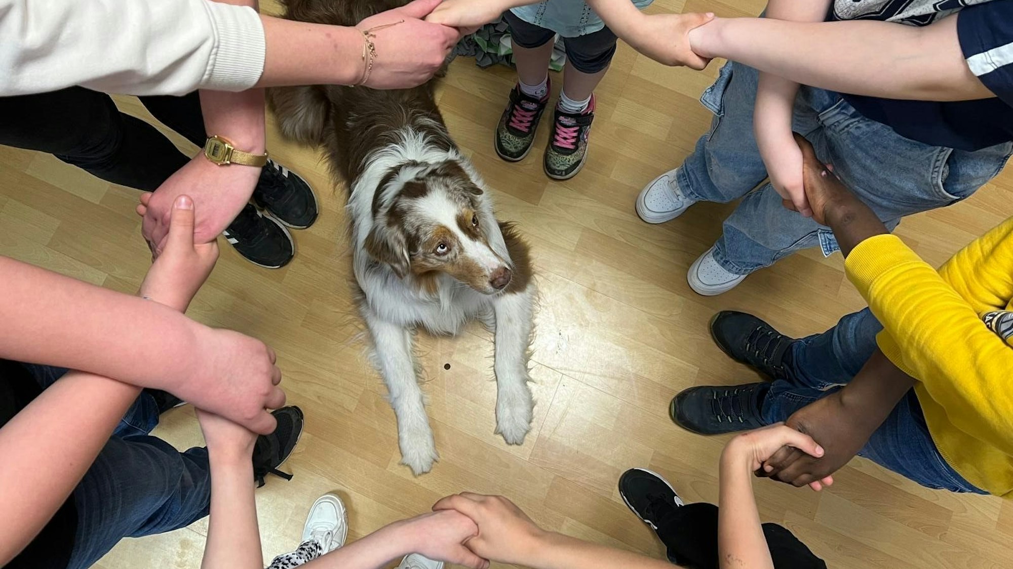 Gruppenfoto Hakuna Matata (Projekt des SkF Bonn und Rhein-Sieg)
