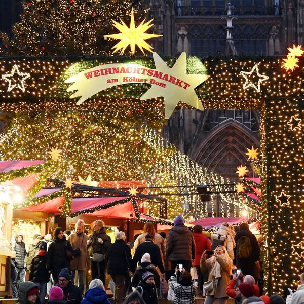 Weihnachtsbäume in der Stadt. Weihnachtsmarkt am Dom.