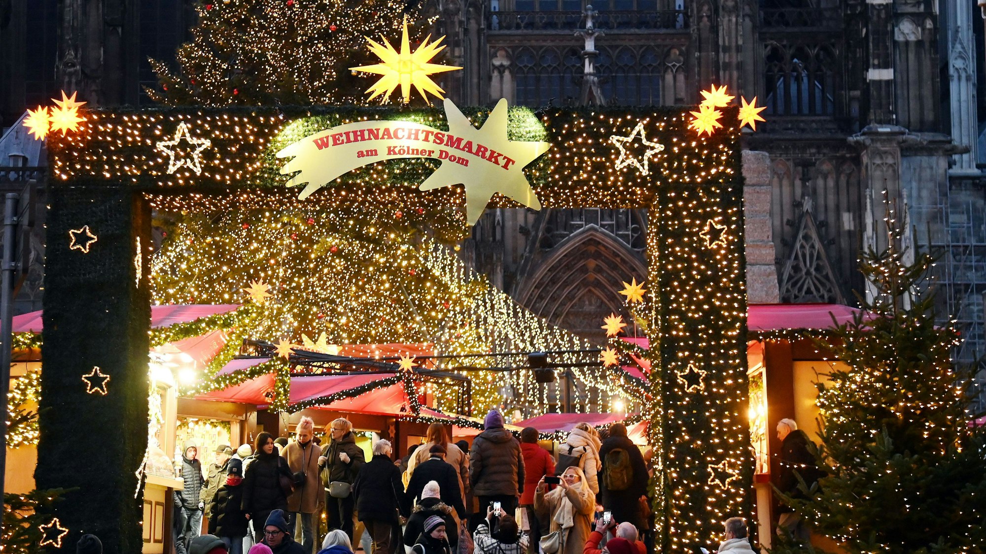 Weihnachtsbäume in der Stadt. Weihnachtsmarkt am Dom.