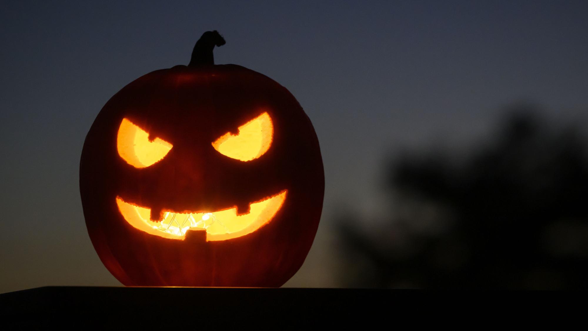 Als Halloween-Dekoration steht ein ausgehöhlter, beleuchteter Kürbis mit einem geschnitzten grinsenden Gesicht in einem Garten in Daillens, Schweiz. (zu dpa: «Halloween lädt zu Grusel-Spaß ein») +++ dpa-Bildfunk +++