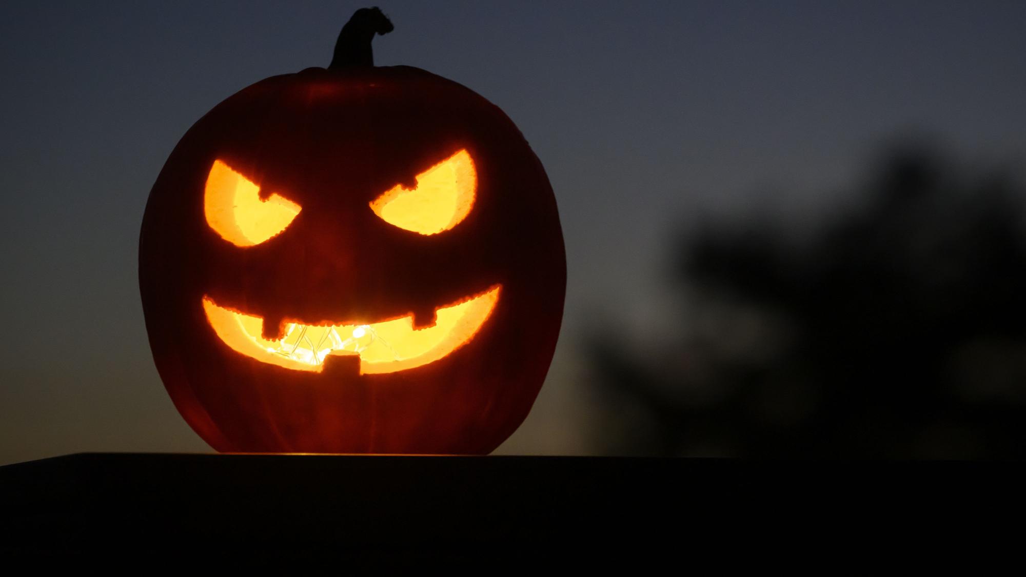 Als Halloween-Dekoration steht ein ausgehöhlter, beleuchteter Kürbis mit einem geschnitzten grinsenden Gesicht in einem Garten.