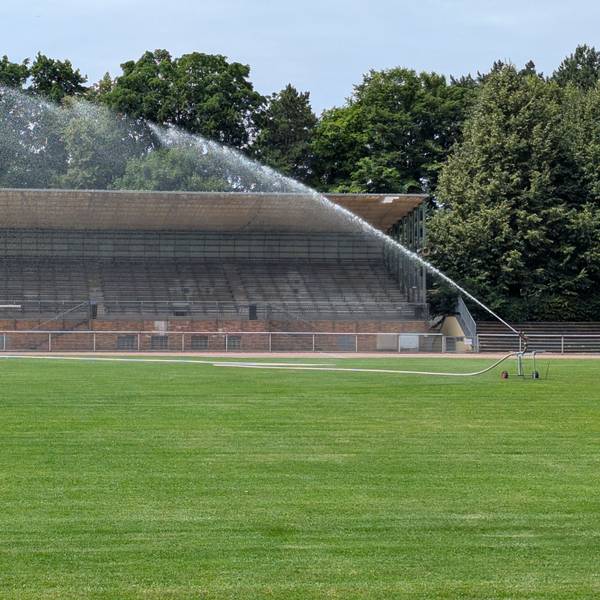 Das Foto zeigt die Tribüne und den Rasen des Stadions in Alt-Hürth, der gerade bewässert wird.