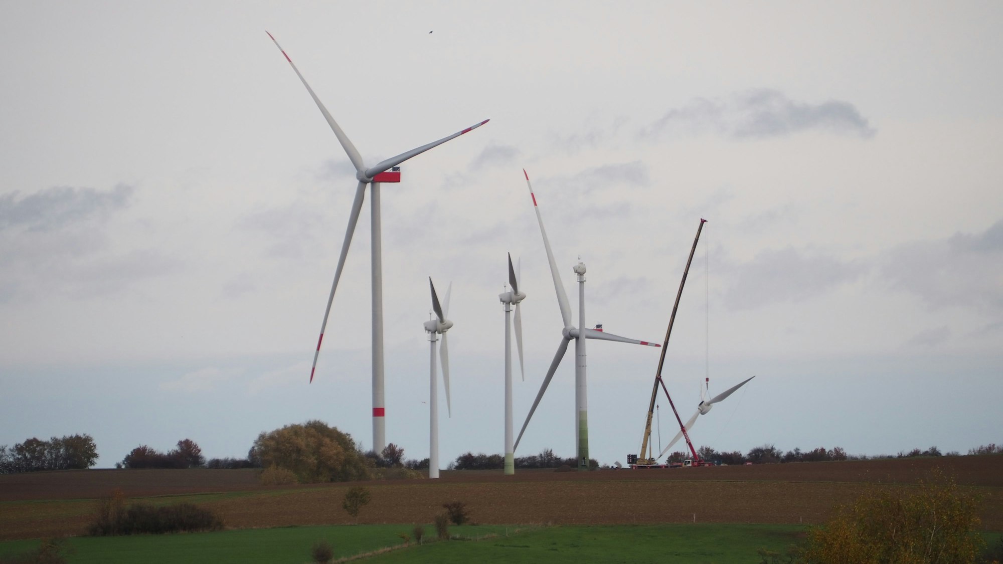 Auf einem Hügel stehen mehrere Windräder. Eines wird gerade demontiert, der Rotor hängt am Kranhaken.